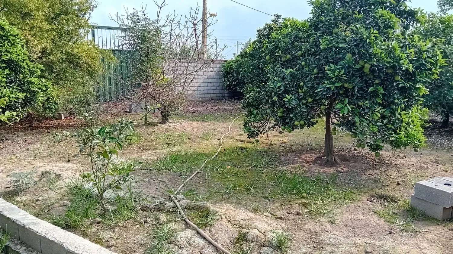 ۲۵۰ متر زمین داخل بافت|فروش زمین و ملک کلنگی|زرگرشهر, |دیوار