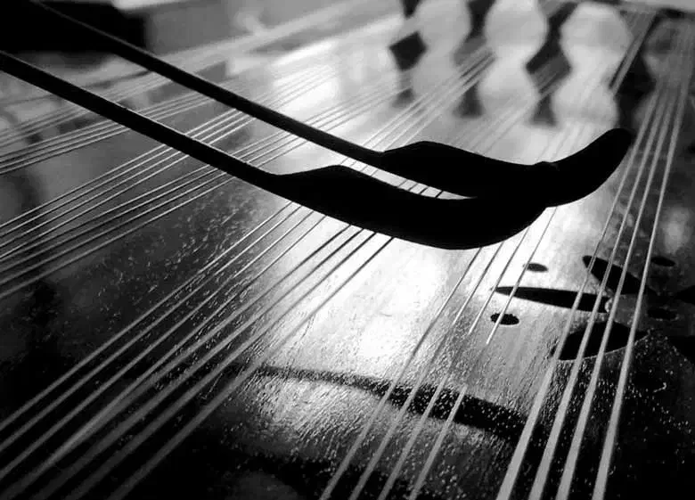 آموزش ساز سنتور|خدمات آموزشی|قشم, |دیوار