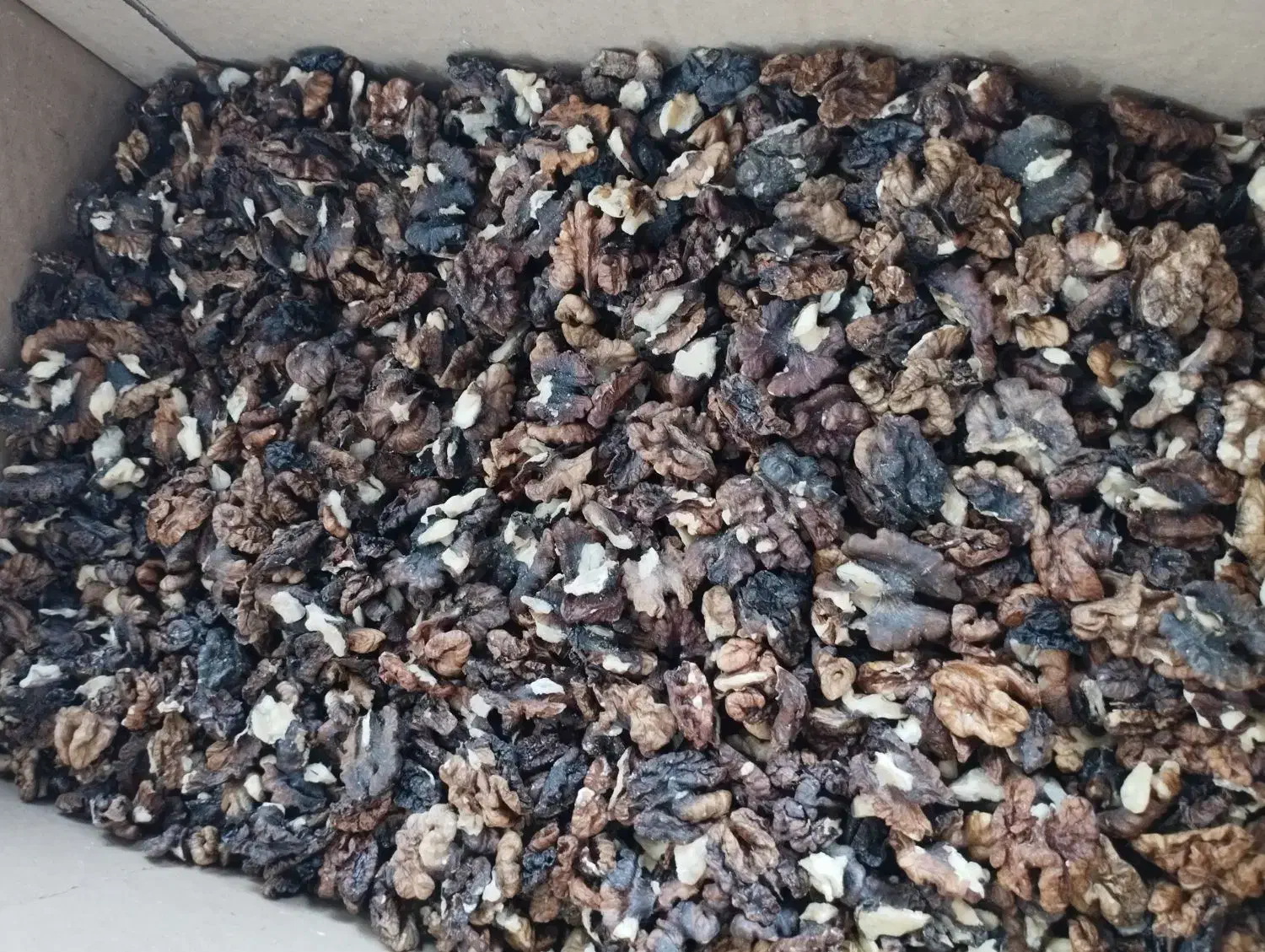 مغز گردو|عمده‌فروشی|مرند, |دیوار