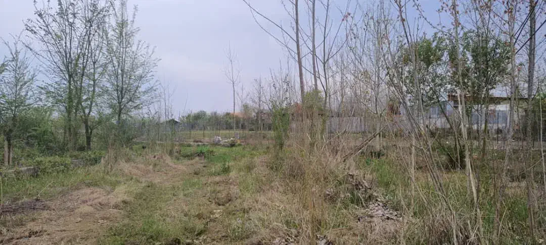 مشارکت ،سرمایه ازما،زمین هکتاری ازشما|مشارکت در ساخت املاک|اندیشه, شهرک مریم|دیوار