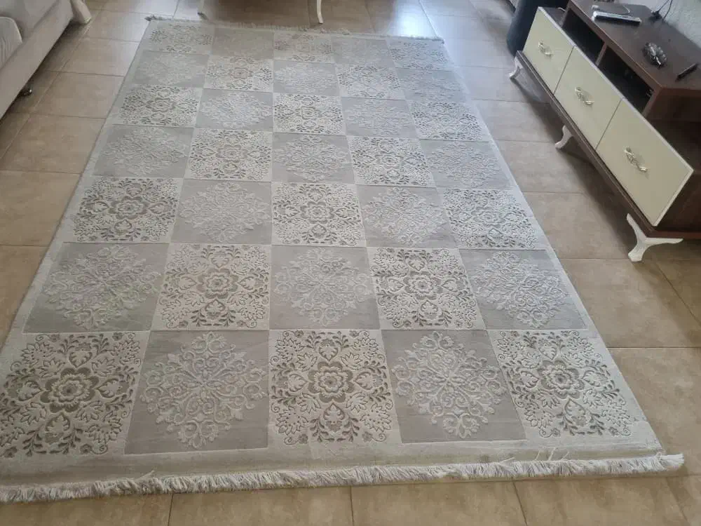 فرش ۶ متری طرح خشتی رنگ روشن|فرش|رشت, کاکتوس|دیوار