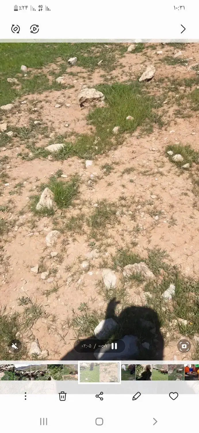 زمین فروشی|فروش زمین و ملک کلنگی|فیروزآباد (لرستان), |دیوار