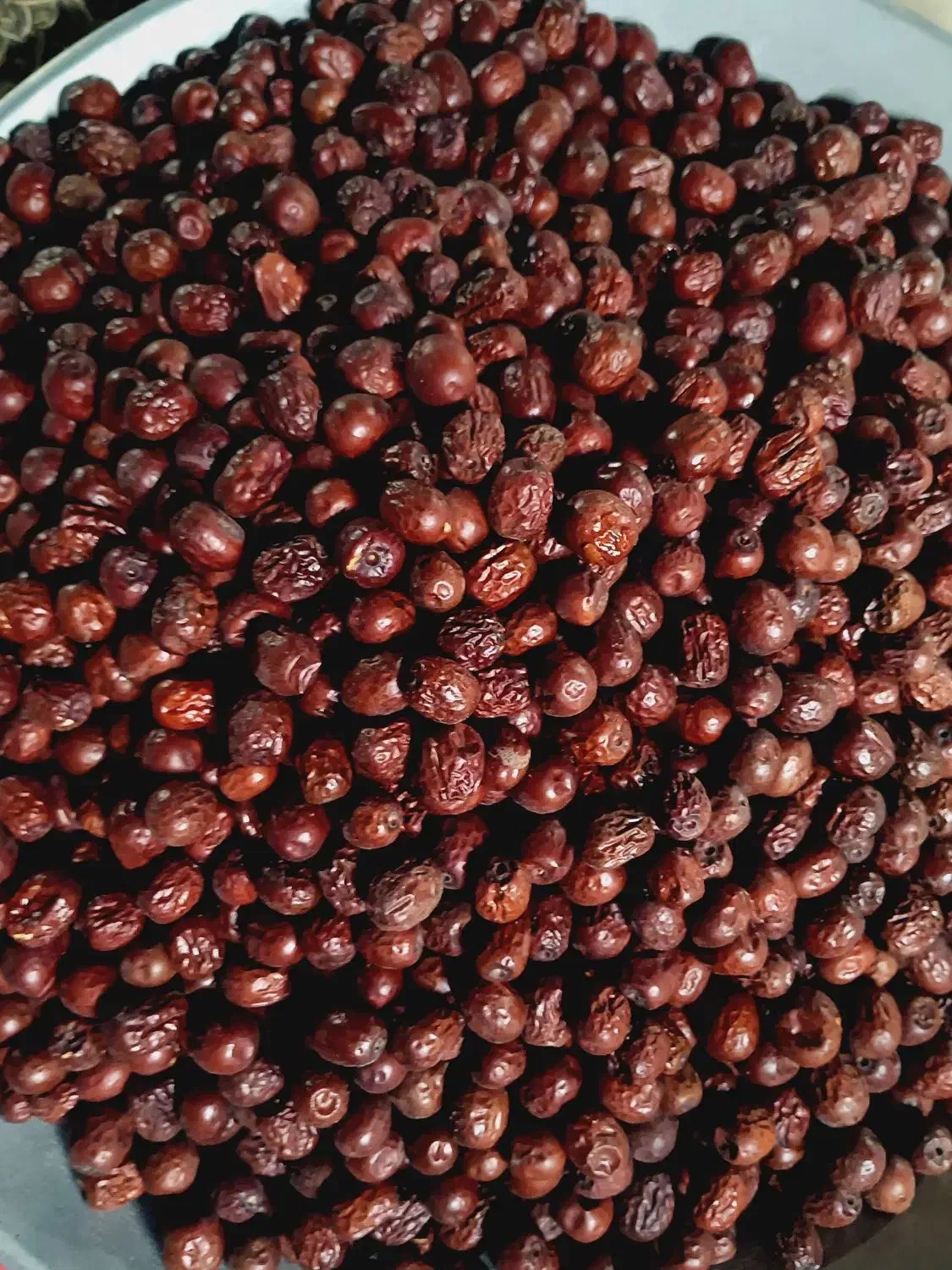 عناب تازه|خوردنی و آشامیدنی|شیروان (خراسان), |دیوار