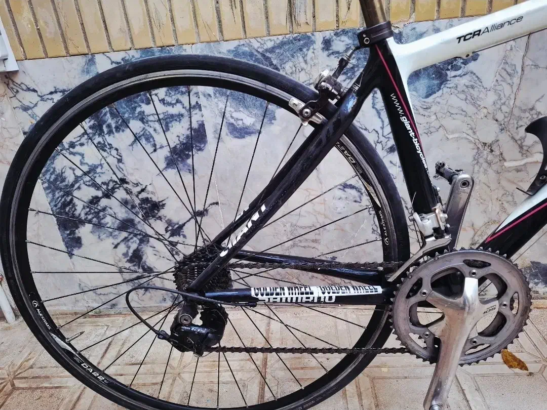 دوچرخه کورسی جاینت|دوچرخه، اسکیت، اسکوتر|مشهد, مقدم|دیوار