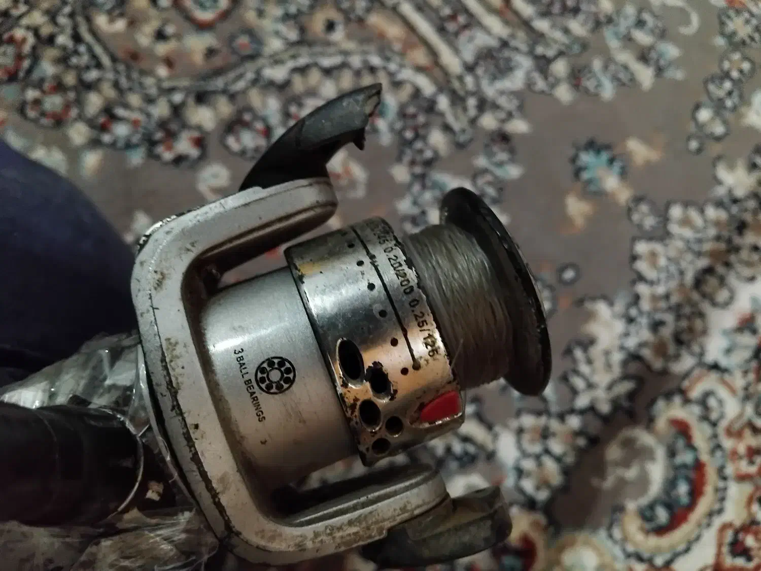 لنسر ماهیگیری|ماهیگیری|رشت, سلیمانداراب|دیوار