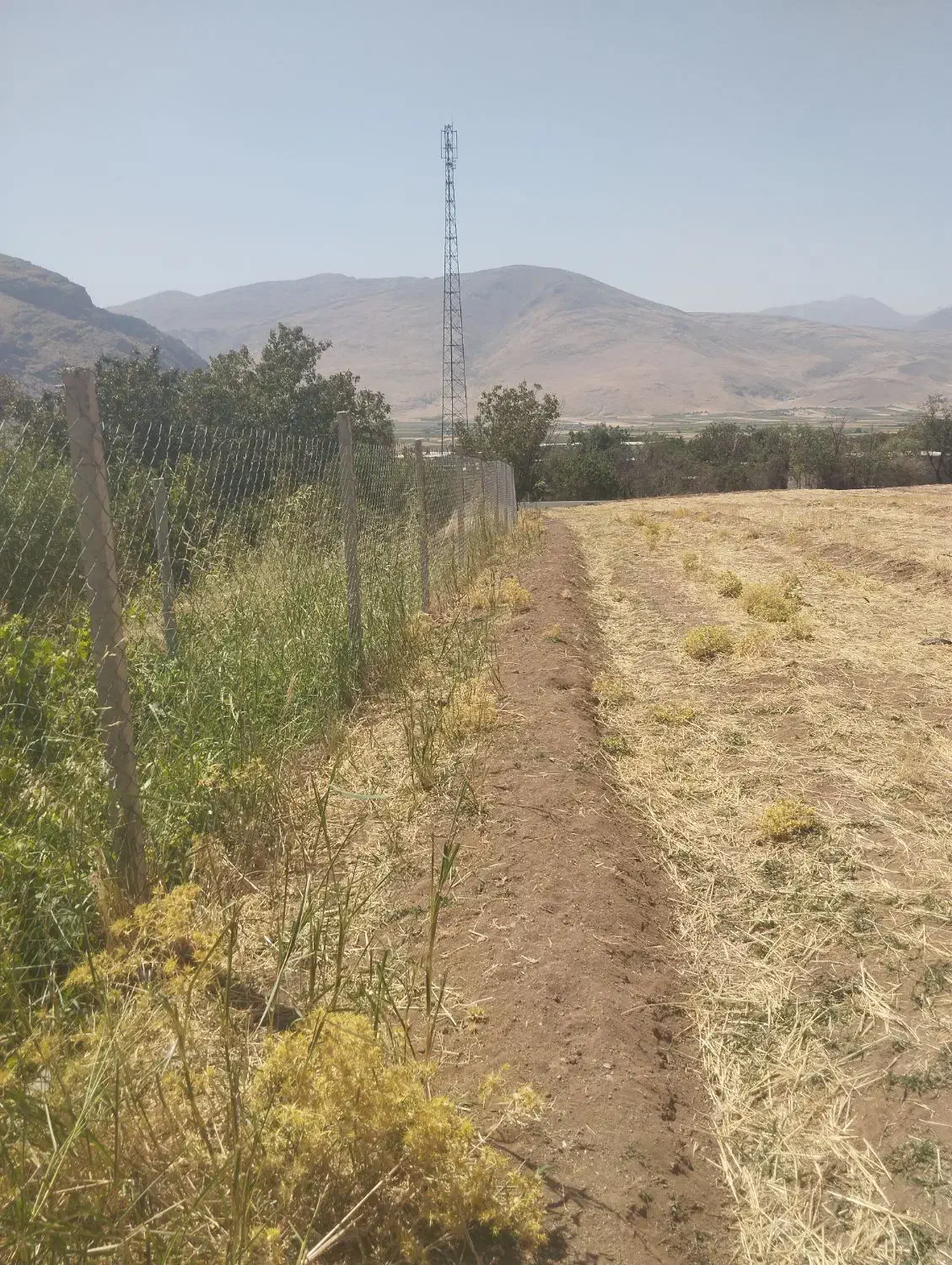 زمین مرغوب درجه بغل روستاوکتارجاده اصلی|فروش زمین و ملک کلنگی|دینور, |دیوار