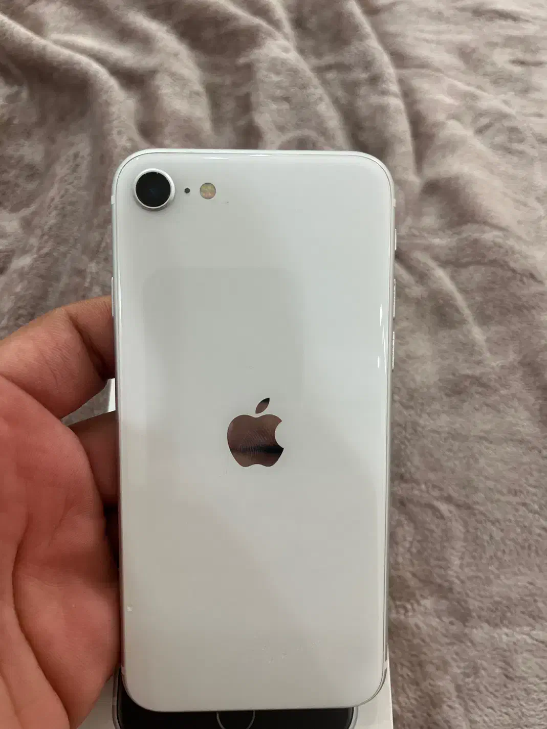 ایفون se 2022|موبایل|قم, دورشهر|دیوار