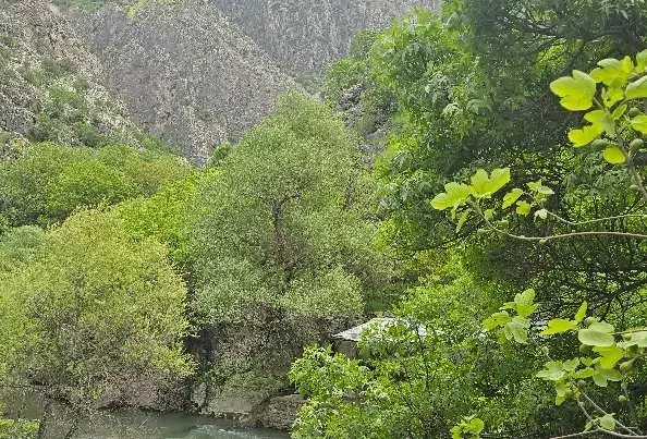 تورلحظه اخری شمال ازرشت تاحیران بهترین آب وهوا|تور و چارتر|شیراز, قدوسی غربی|دیوار