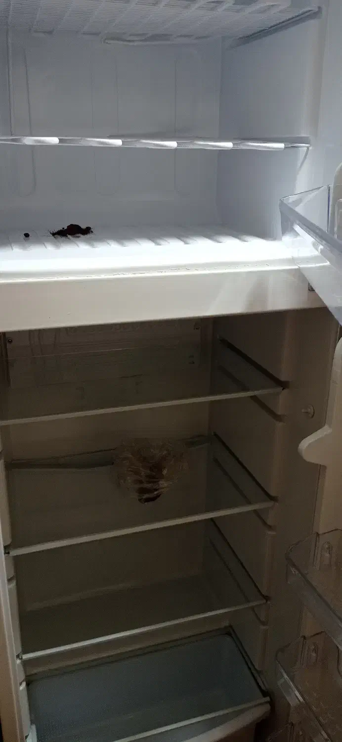 فروش یخچال و فریزر درحد نو|یخچال و فریزر|شیراز, شهرک امیر کبیر|دیوار