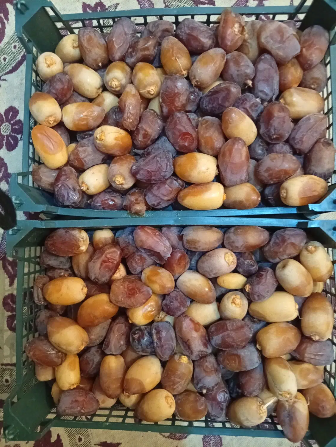 رطب|عمده‌فروشی|سعدآباد, |دیوار
