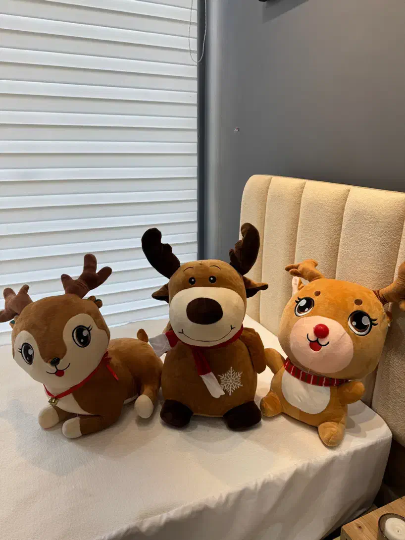 پتو عروسکی|رختخواب، بالش، پتو|مشهد, هفده شهریور|دیوار