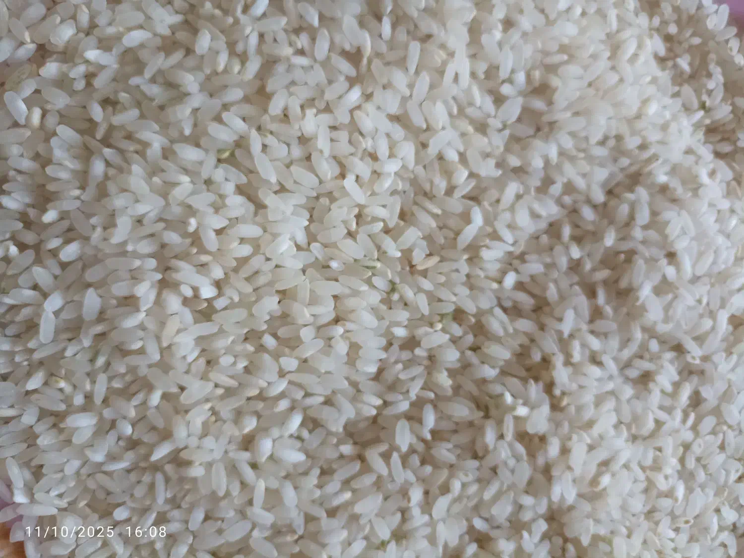 برنج کامفیروزی اصل|خوردنی و آشامیدنی|شیراز, شهرک قمشه|دیوار
