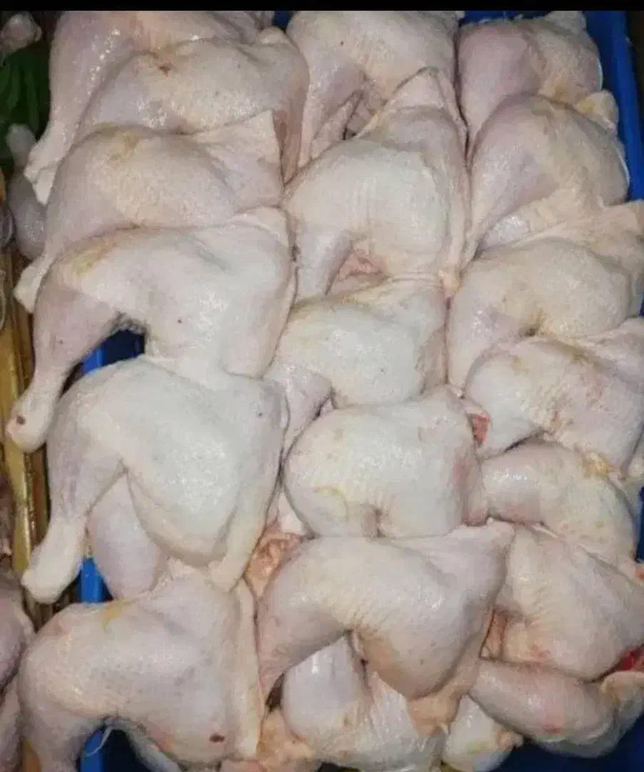 سفارش عمده|خوردنی و آشامیدنی|دهدشت, |دیوار