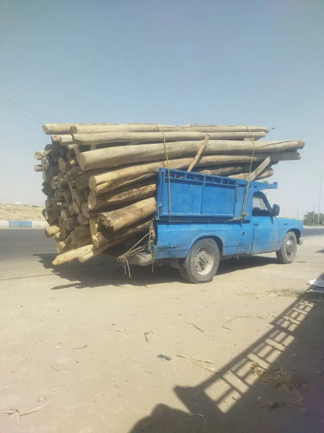 خریدچوب‌ودرخت|خدمات باغبانی و درختکاری|کاشان, راوند|دیوار