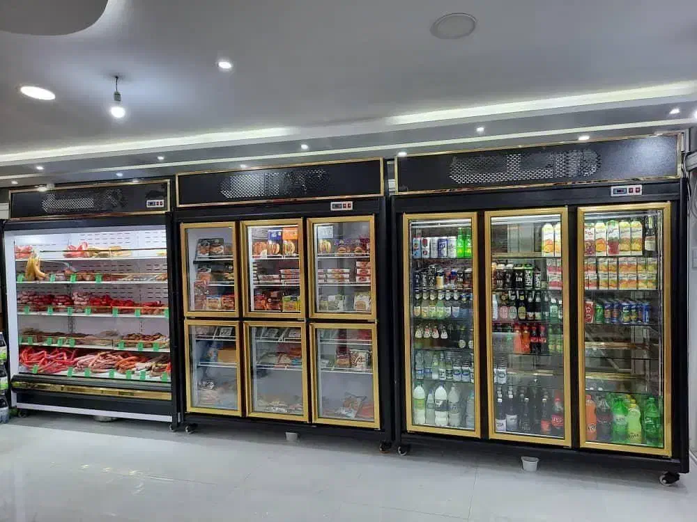 یخچال قصابی ایستاده لبنیاتی آلایشی و..|فروشگاه و مغازه|مشهد, رسالت|دیوار