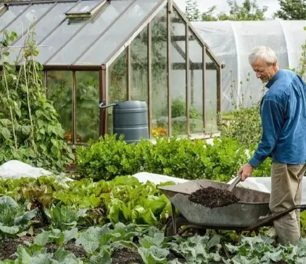 باغبانی هرس کاری تیلر زدن تعویض گلدان گل خاک کود|خدمات باغبانی و درختکاری|مشهد, نوید|دیوار