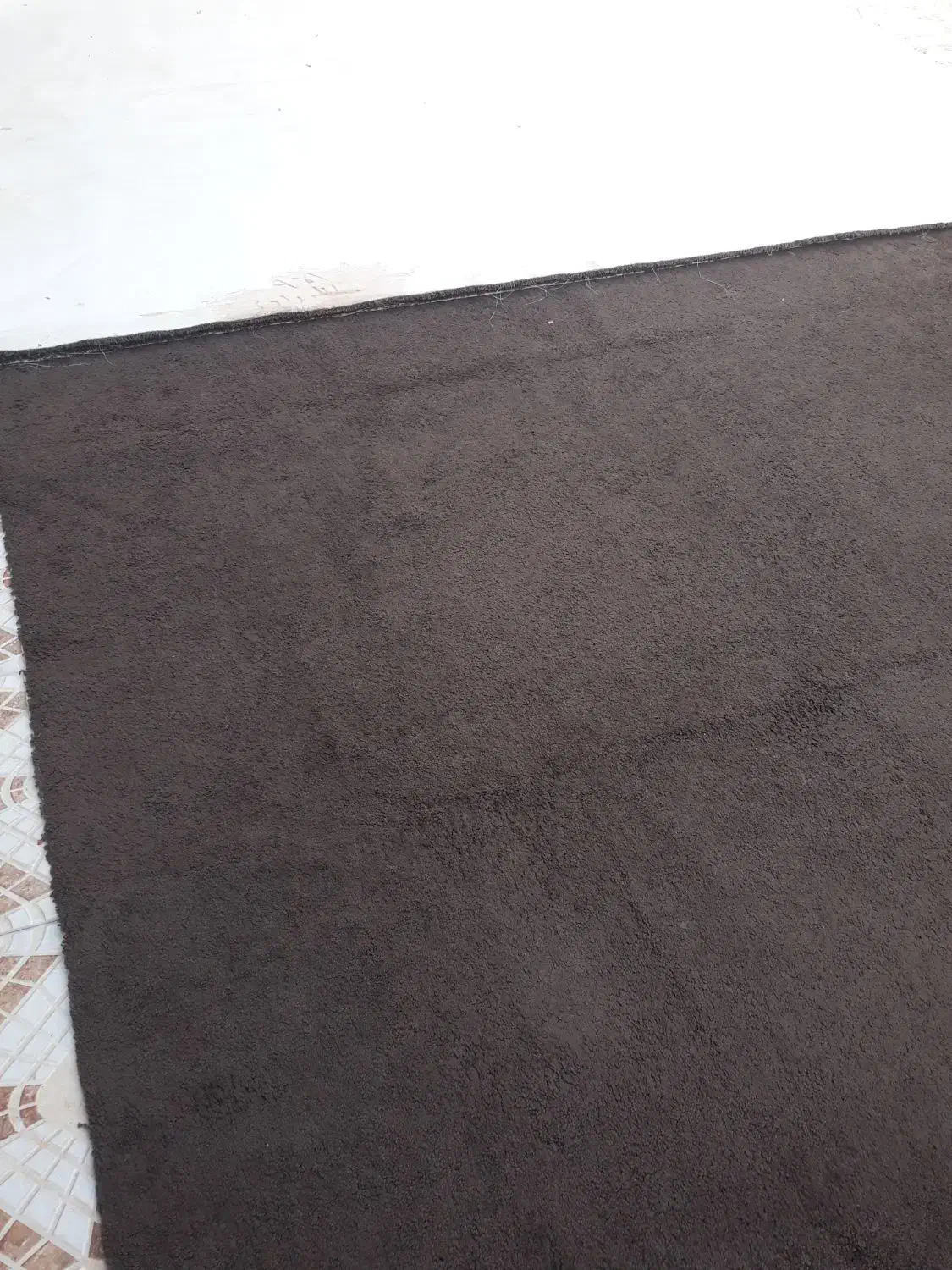 پالاز موکت و پشتی|موکت|دوگنبدان, |دیوار