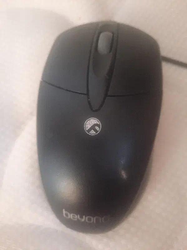 موس beyond|قطعات و لوازم جانبی رایانه|پرند, فاز ۵|دیوار