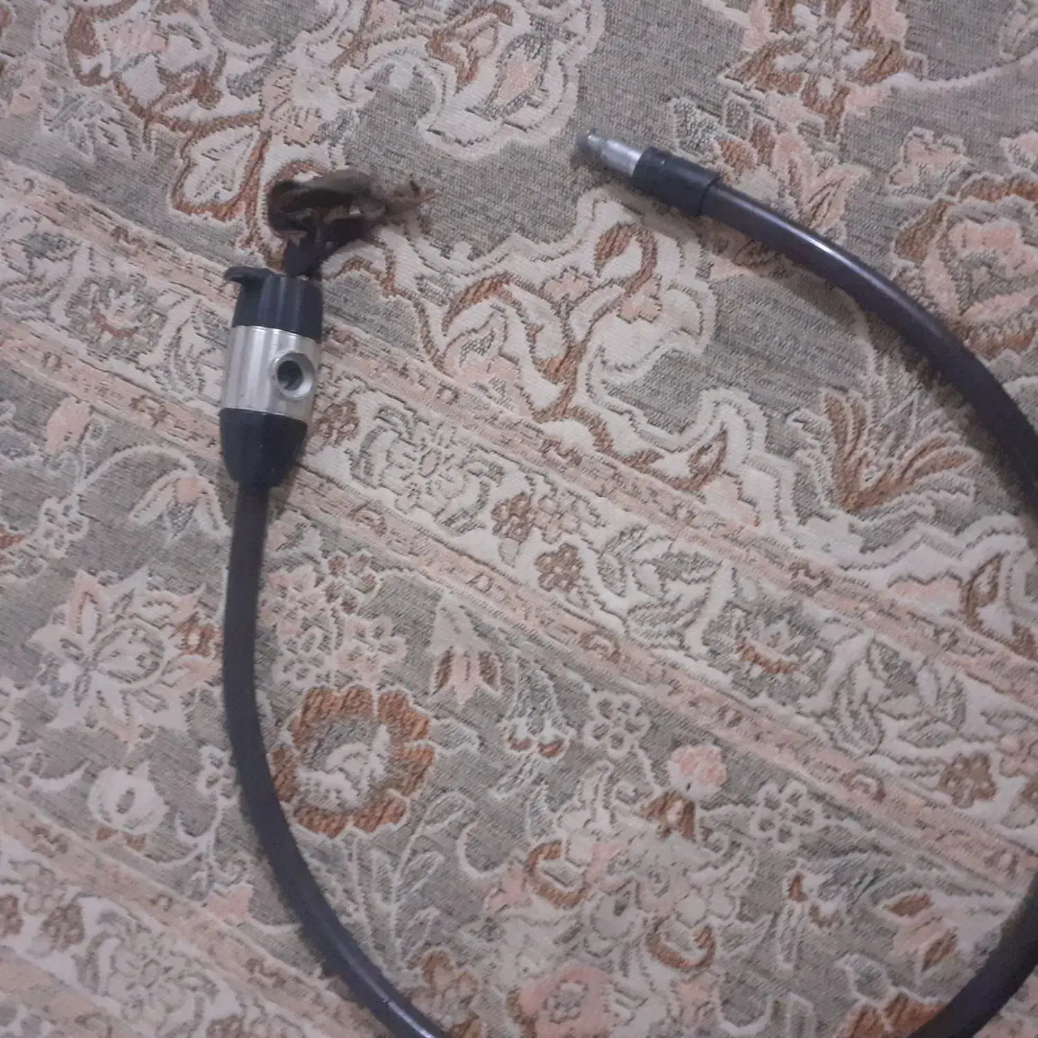 قفل دوچرخه|دوچرخه، اسکیت، اسکوتر|مریوان, |دیوار