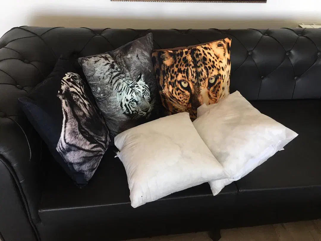 کوسن مبل بدون روکش در دو طرح|مبلمان خانگی و میز عسلی|ایزدشهر, |دیوار