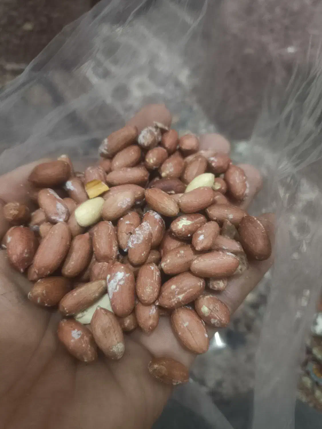 بادام زمینی گلی برشته شده درجه 1|خوردنی و آشامیدنی|پارسآباد, |دیوار