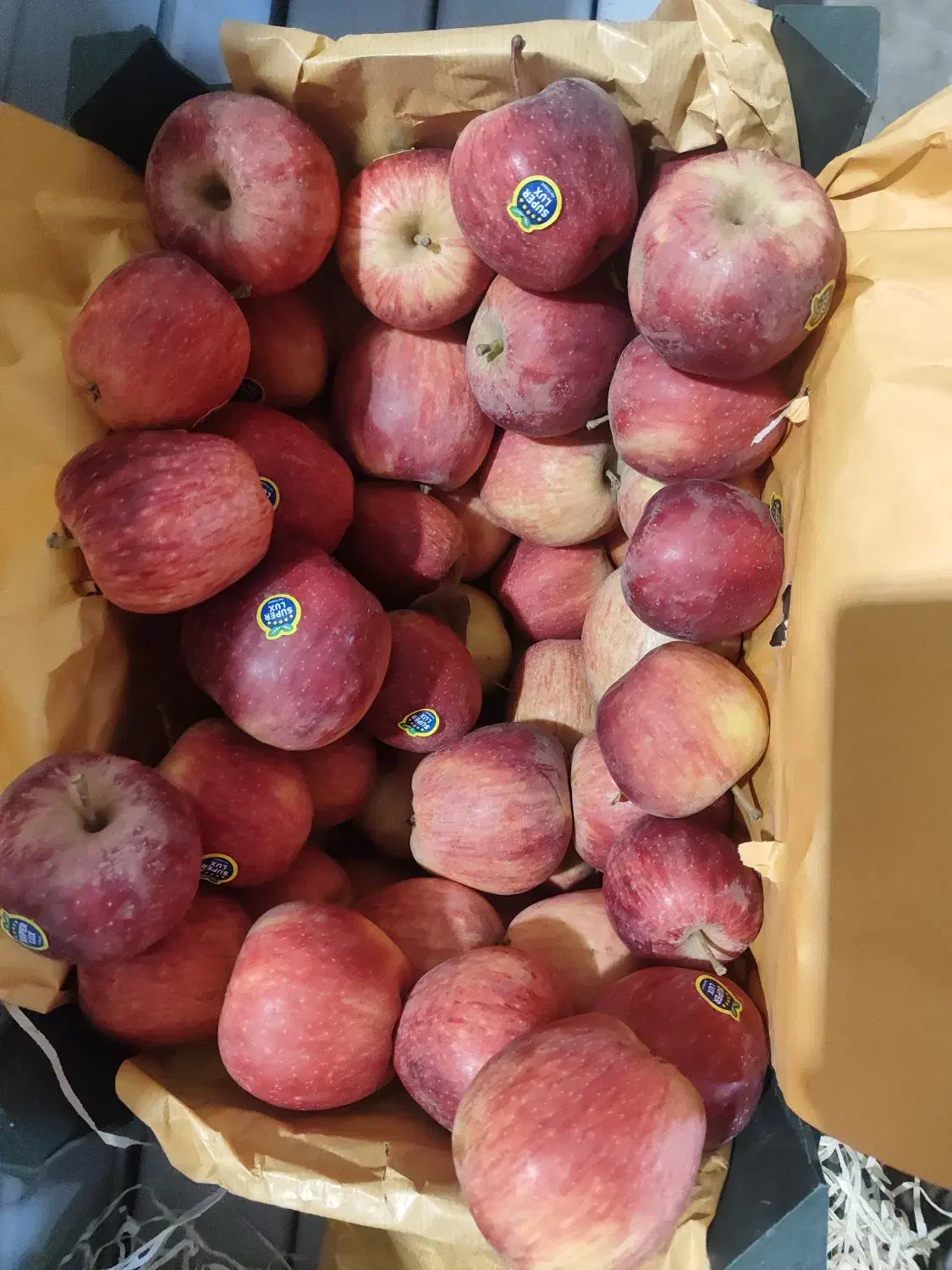 سیب قرمز تناژ نامحدود|عمده‌فروشی|مهاباد (آذربایجان غربی), |دیوار