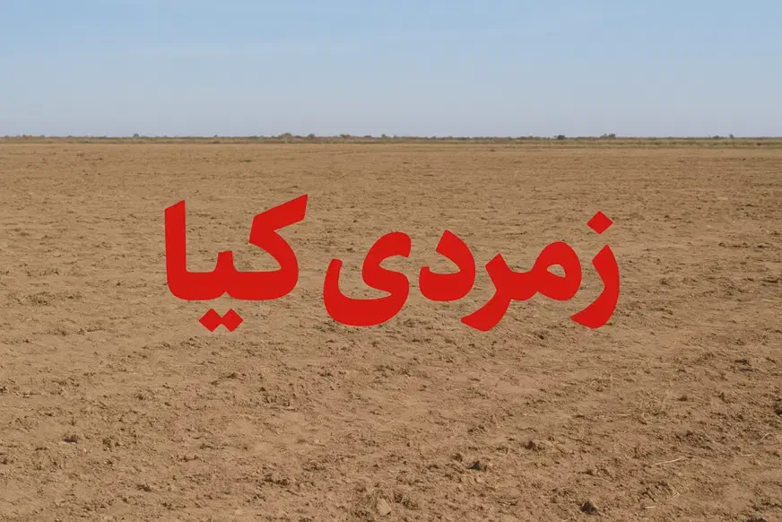 درخواست زمین زمرد کیا سهیلیه زعفرانیه اقبالیه|فروش زمین و ملک کلنگی|رامجین, |دیوار