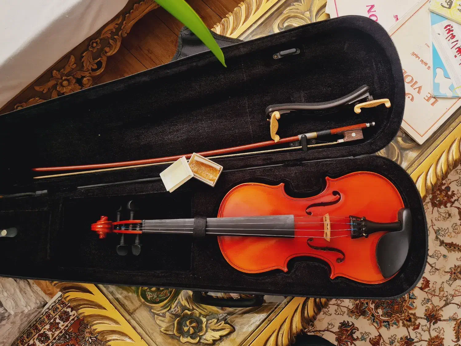 ویولن اصلی+(کتاب آموزشی)|ویولن|بجنورد, |دیوار