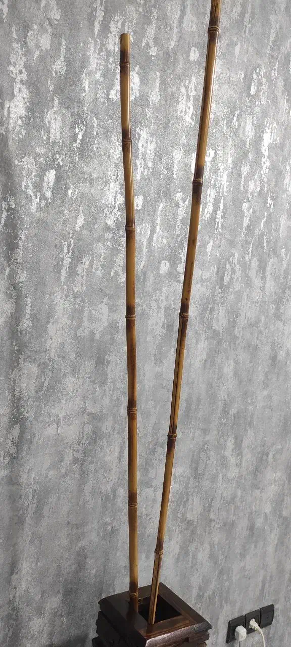 بامبو|گل مصنوعی|کرمانشاه, |دیوار