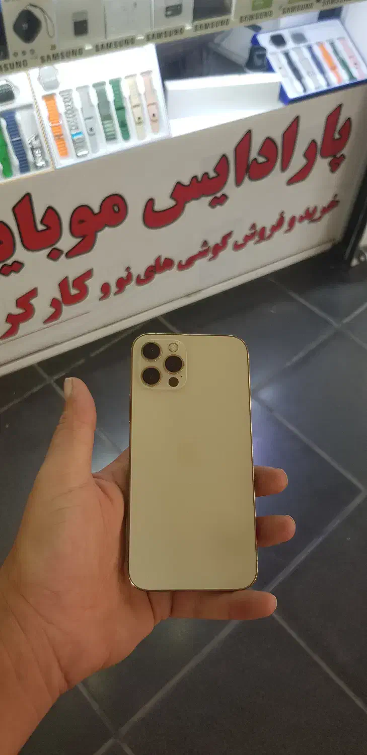 ایفون 12PRO 256 ZAA|موبایل|شیراز, ملاصدرا|دیوار