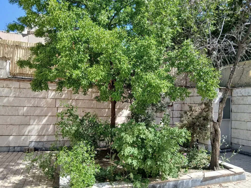 ویلایی کلنگی دونبش در بهترین نقطه فلسطین|فروش زمین و ملک کلنگی|مشهد, فلسطین|دیوار