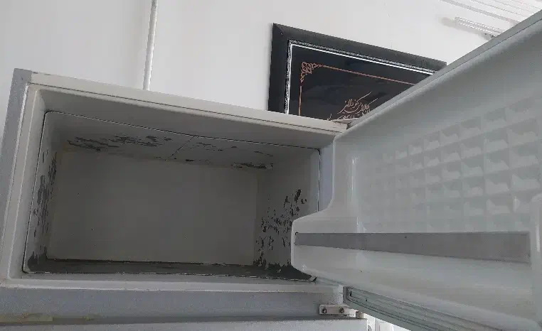 یخچال قدیمی مارک ارج|یخچال و فریزر|قائن, |دیوار