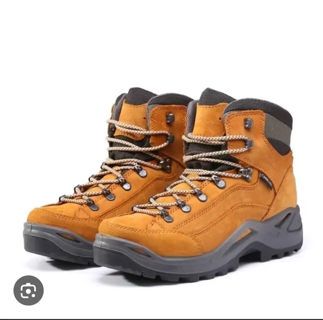 کفش|کیف، کفش، کمربند|شاهرود, |دیوار