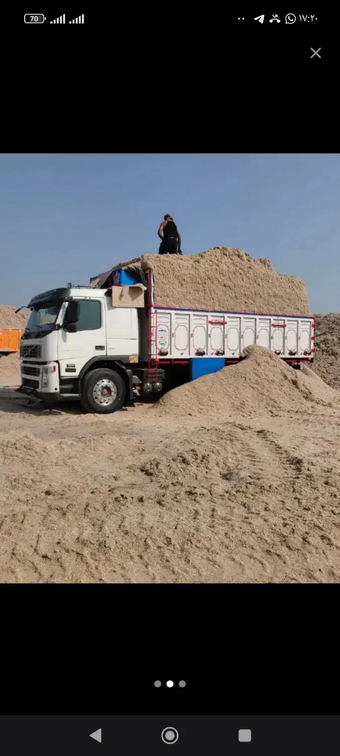 تفاله نیشکر اهواز|حیوانات مزرعه|تهران, جوادیه|دیوار