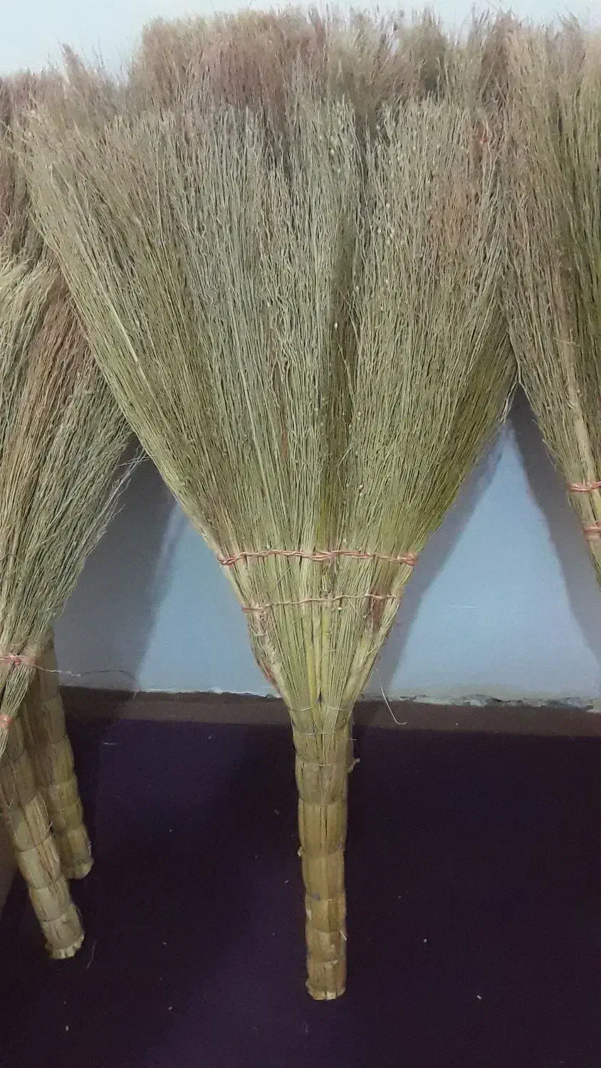 جارو دستی وسقفی|لوازم نظافت|علیآباد کتول, |دیوار