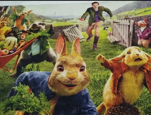 فرش اتاق کودک 4 متری در حد اکبند|فرش|کرمانشاه, |دیوار