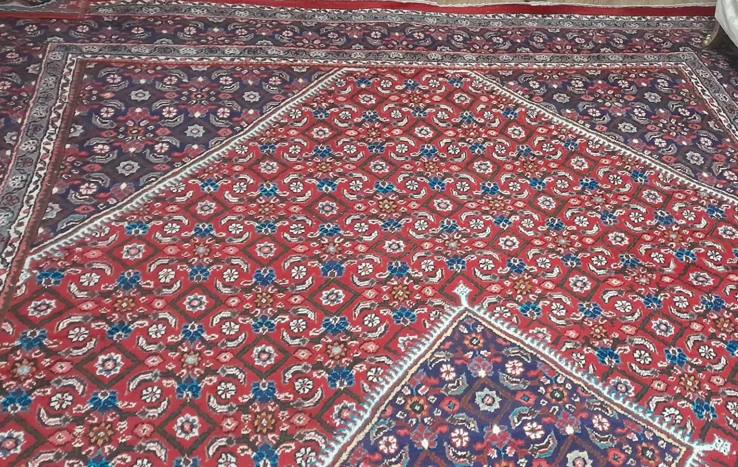 فرش ۱۲متری|فرش|سهند, |دیوار