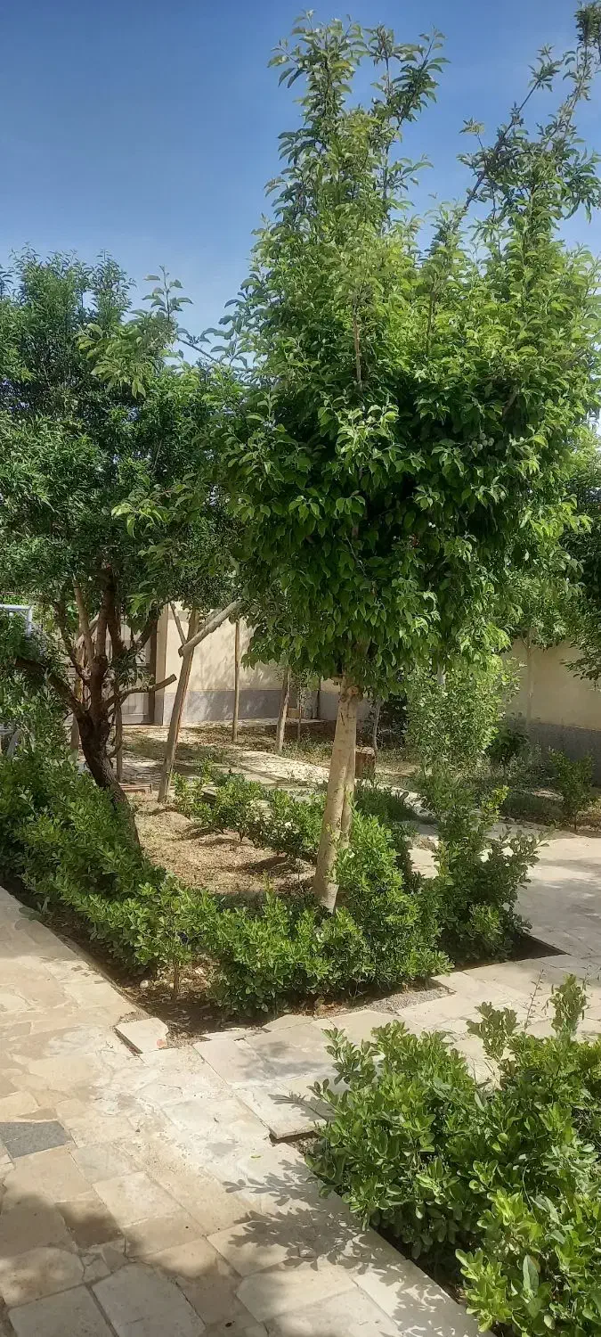 اجاره کوتاه مدت ویلا نیاسر|اجارهٔ کوتاه‌مدت ویلا و باغ|کاشان, الغدیر|دیوار