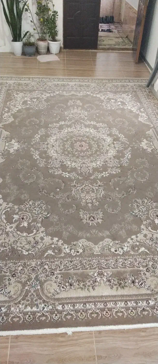 4*3 فرش|فرش|قیدار, |دیوار