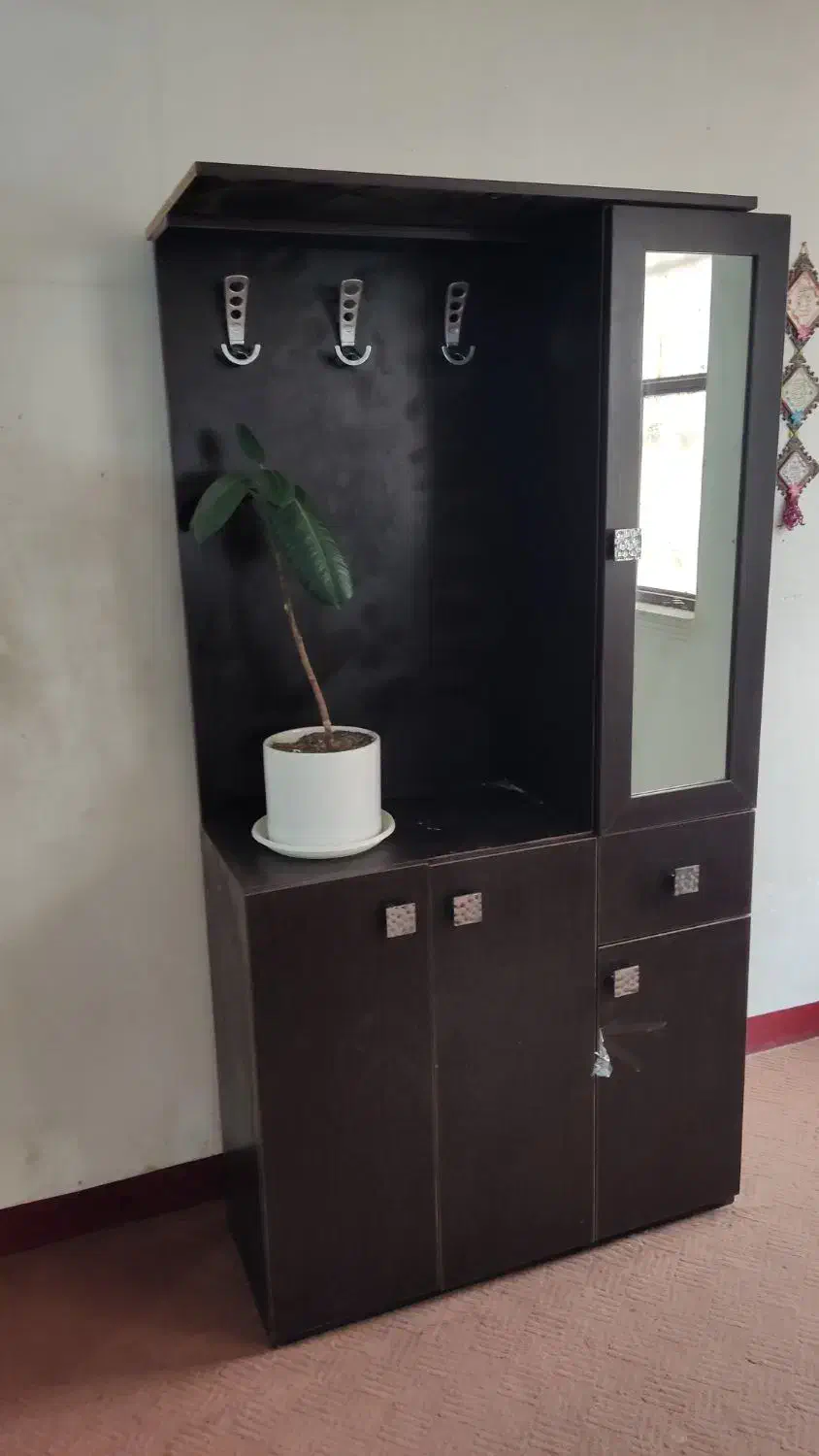 کمد و جاکفشی|جاکفشی، کمد، دراور|اهواز, حصیرآباد|دیوار