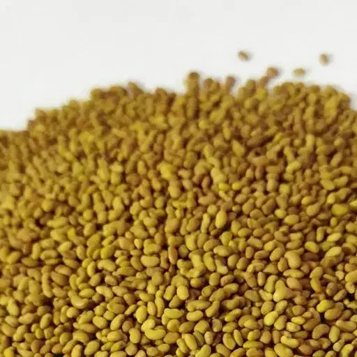 بذر گندم و بذر یونجه درجه یک|خدمات باغبانی و درختکاری|شیراز, محمدیه|دیوار