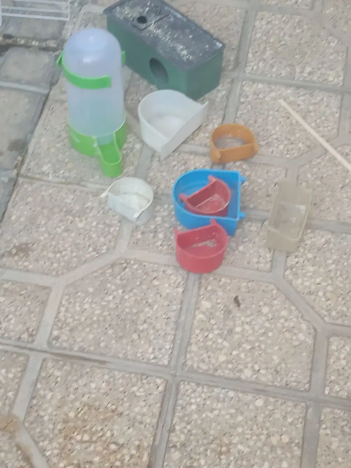 قفس پرنده|لوازم جانبی حیوانات|شیراز, کوشک میدان|دیوار