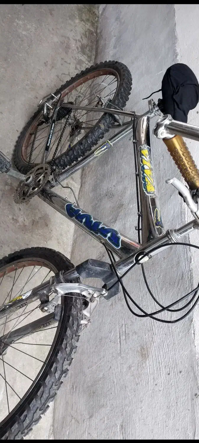 دوچرخه ۲۶|دوچرخه، اسکیت، اسکوتر|چابکسر, |دیوار