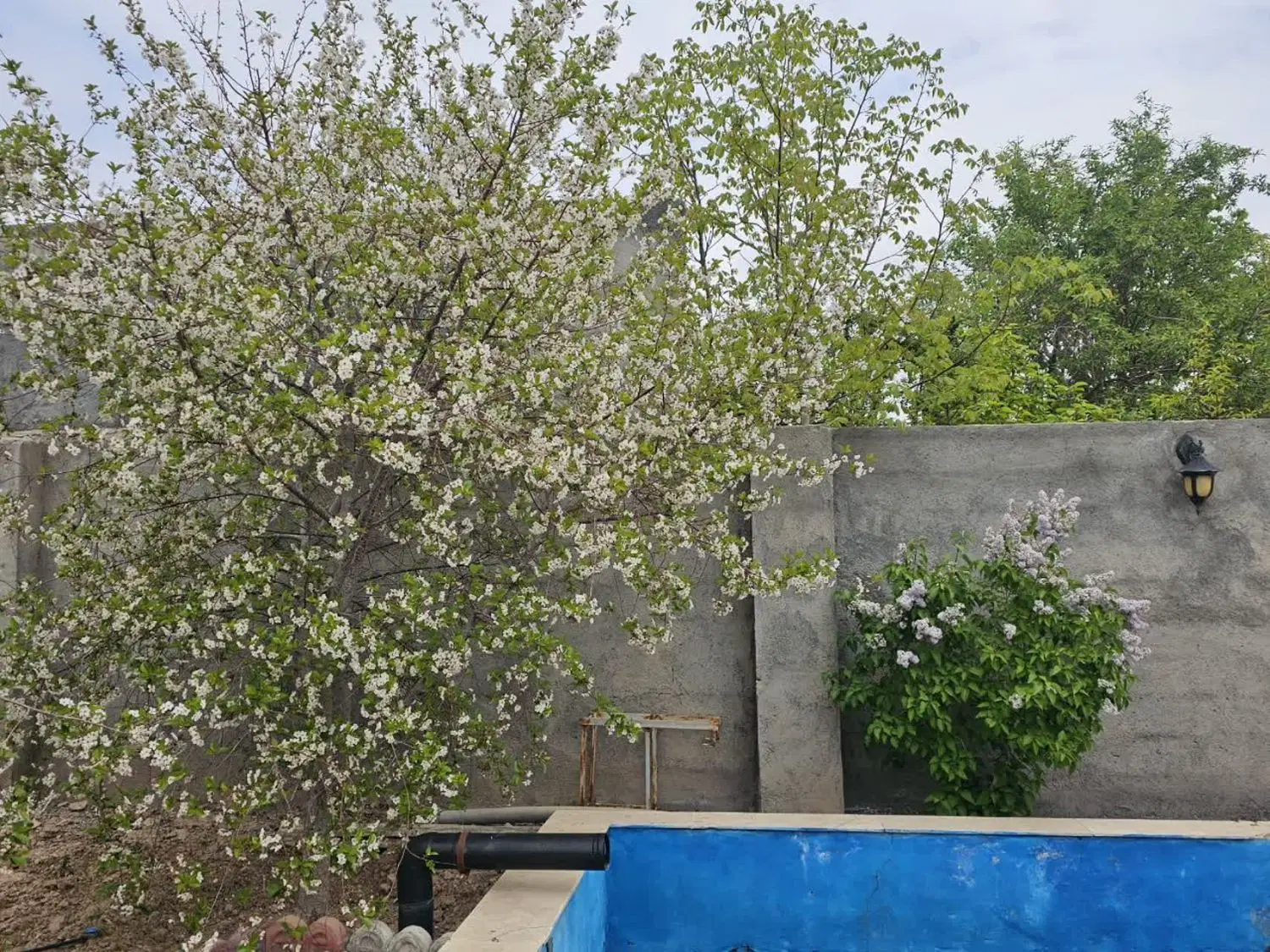 تصویر 7