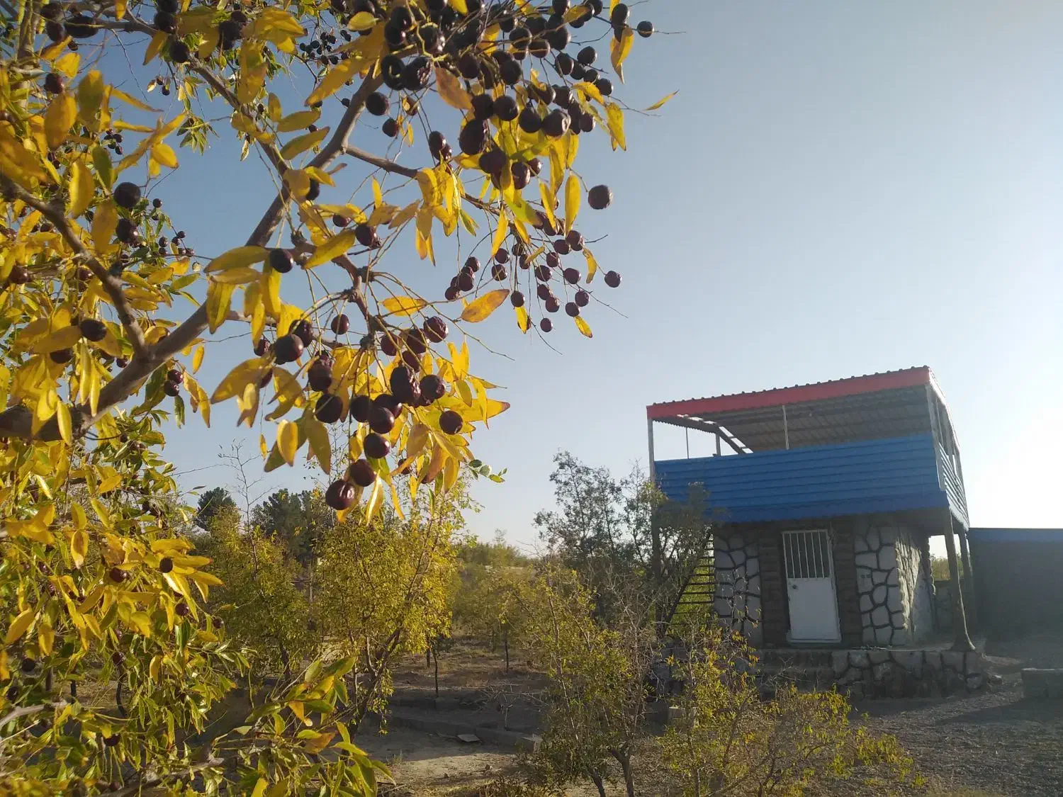 باغ2000متر|فروش خانه و ویلا|خوسف, |دیوار