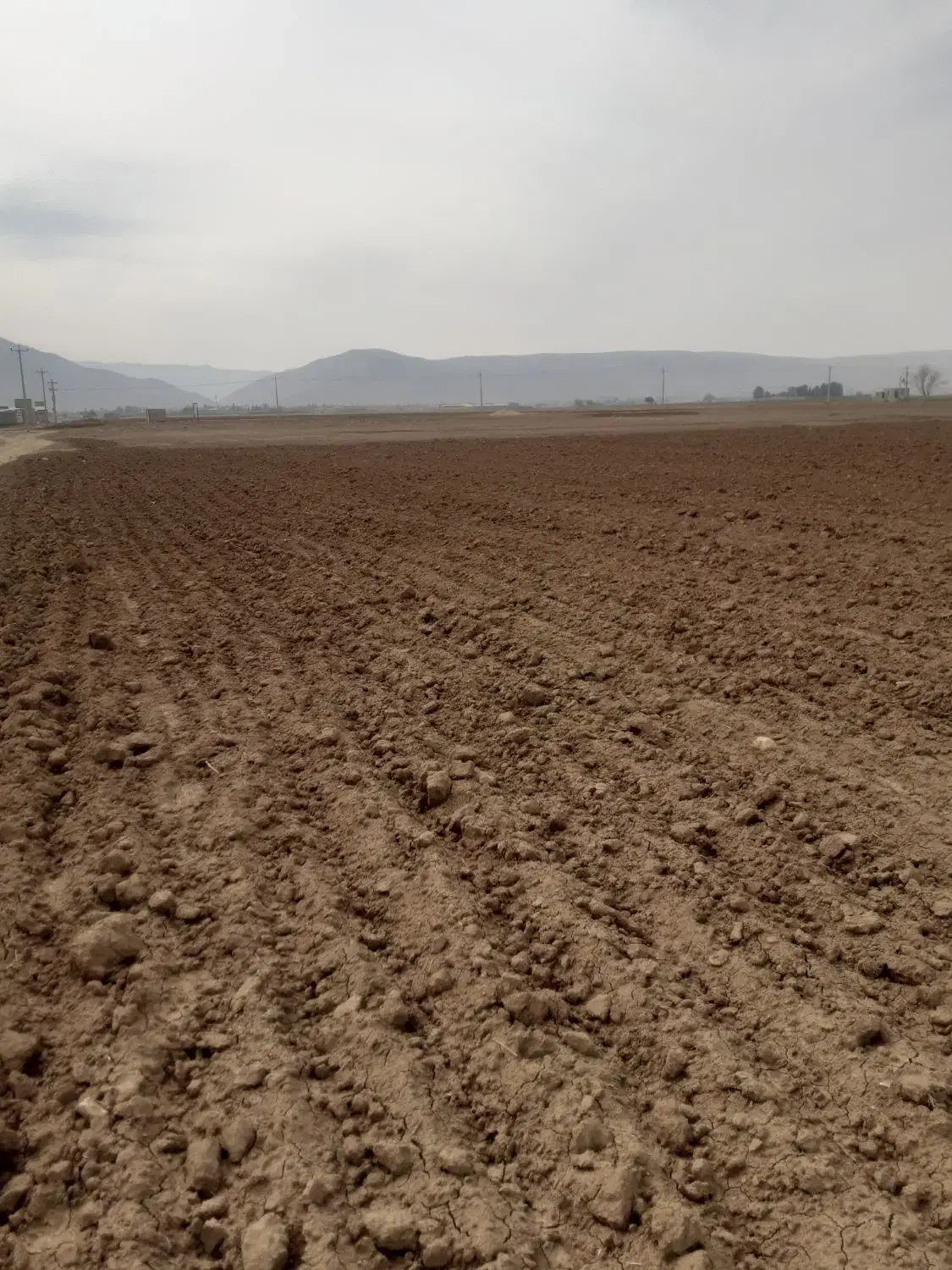 زمین ۵۵۰۰متری دامداری باغشهری داریون|فروش زمین و ملک کلنگی|شیراز, داریون|دیوار