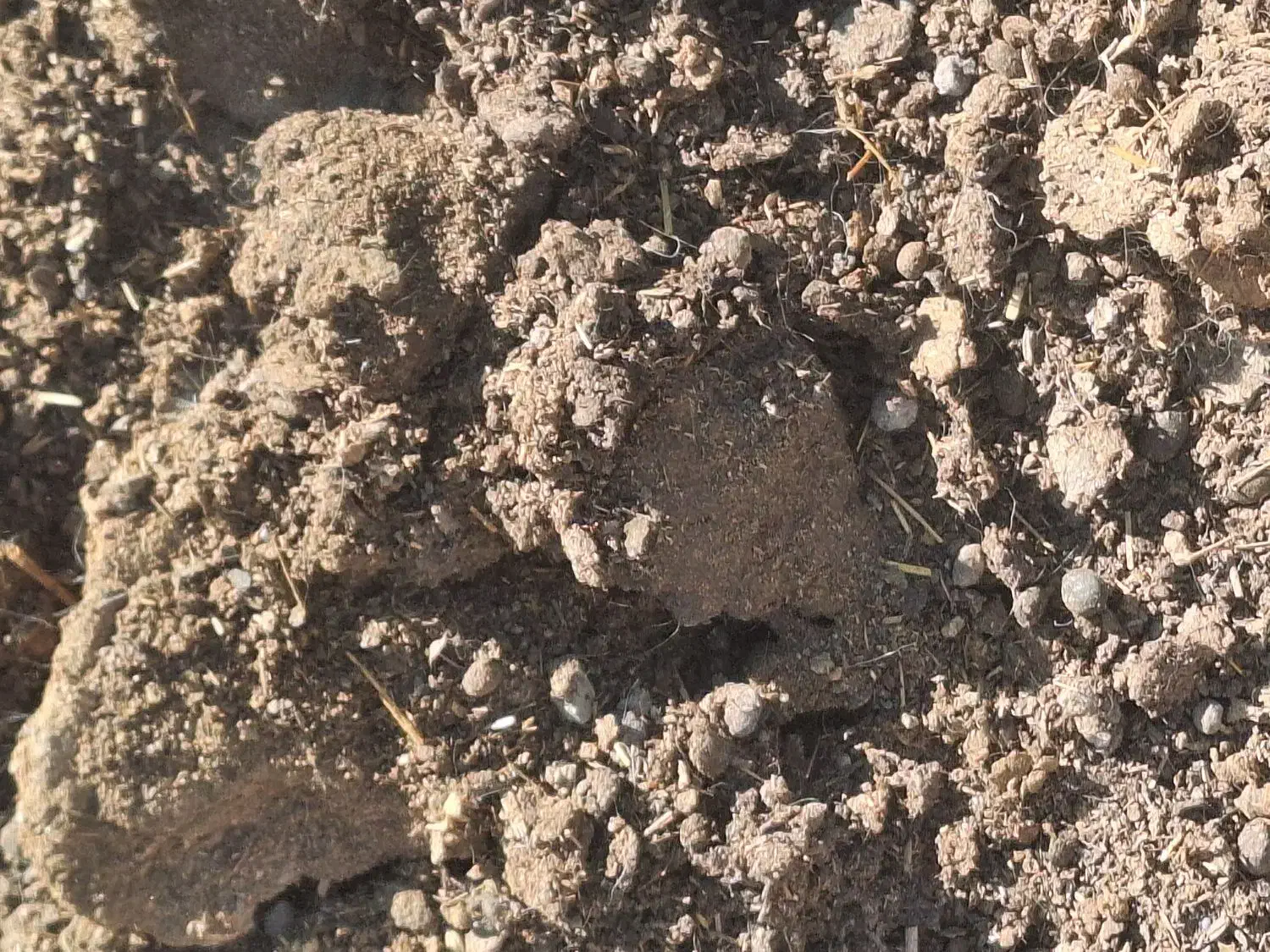 کود گوسفندی پوسیده|خدمات باغبانی و درختکاری|باغ بهادران, |دیوار