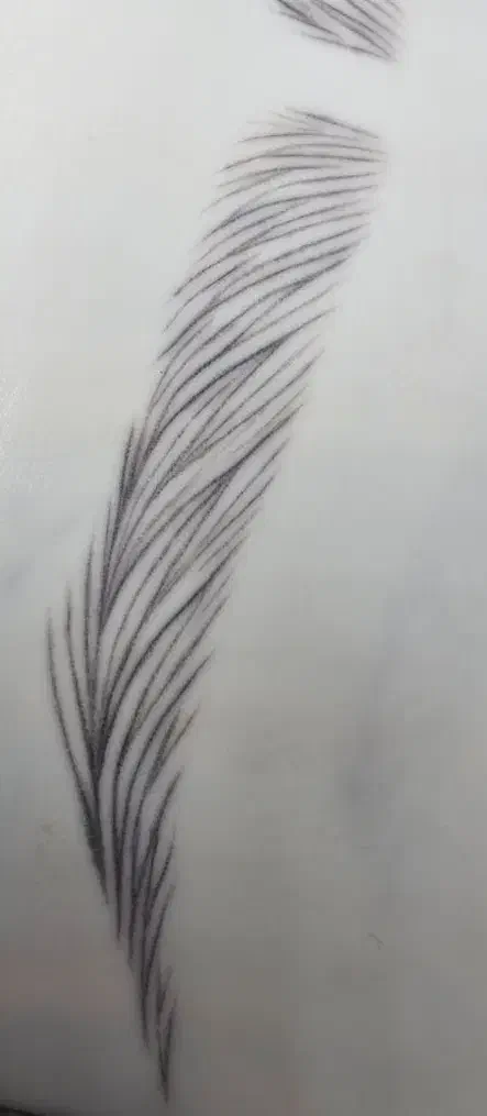 آموزش میکروبلیدینگ خصوصی و نیمه خصوصی(۳ نفره)|خدمات آموزشی|شیراز, میانرود|دیوار