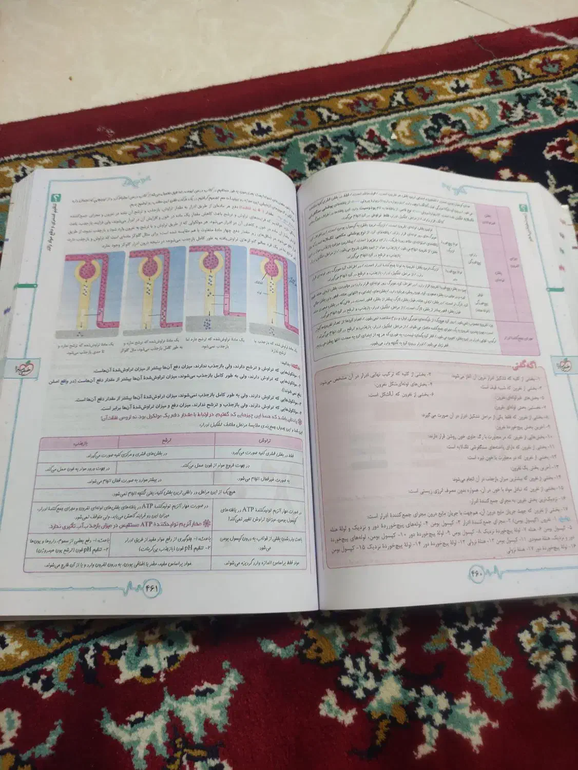 کتاب زیست دهم خیلی سبز|کتاب و مجله آموزشی|قوچان, |دیوار