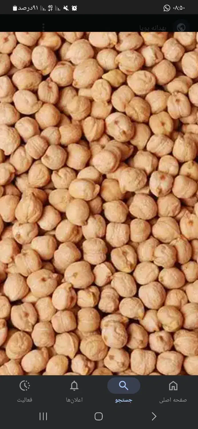 نخود|عمدهفروشی|سربند, |دیوار